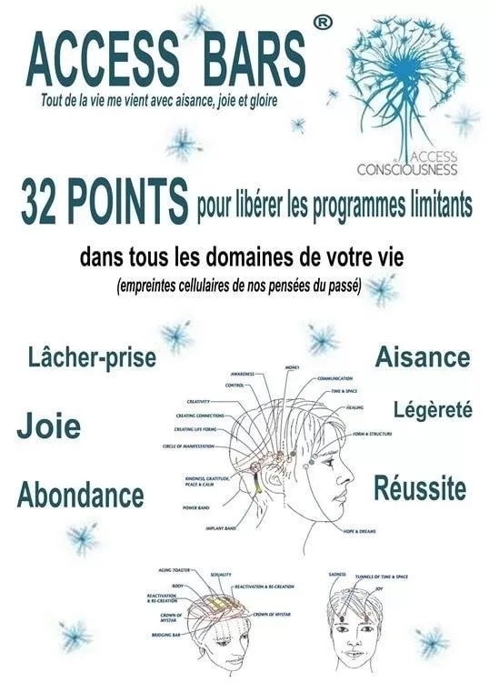 Bars d'Access